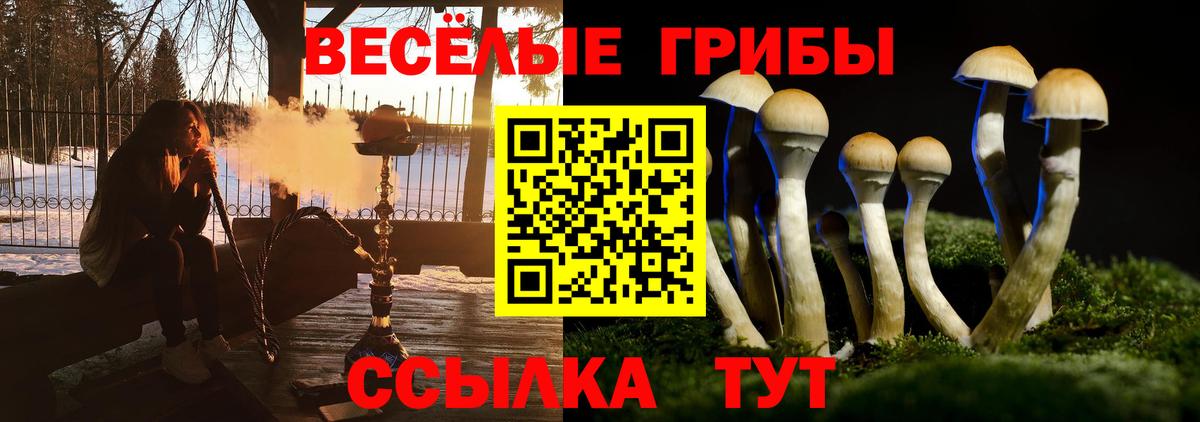 Миллерово  Псилоцибиновые грибы прущие грибы  Вход с VPN 